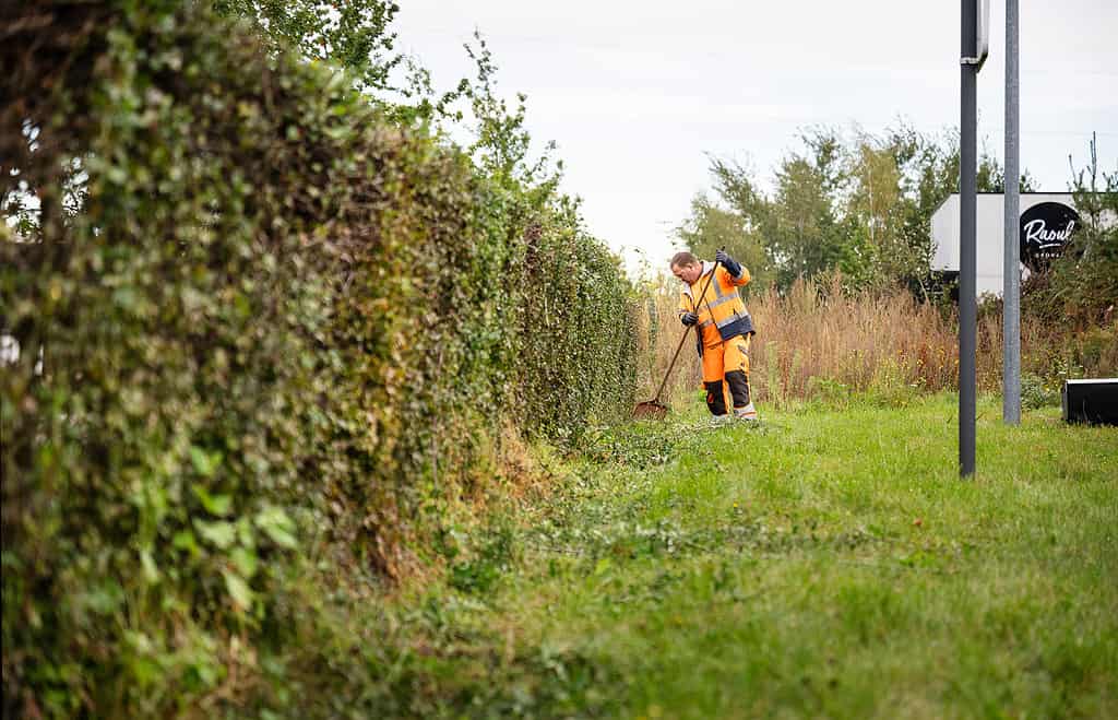 Medewerkers groendienst