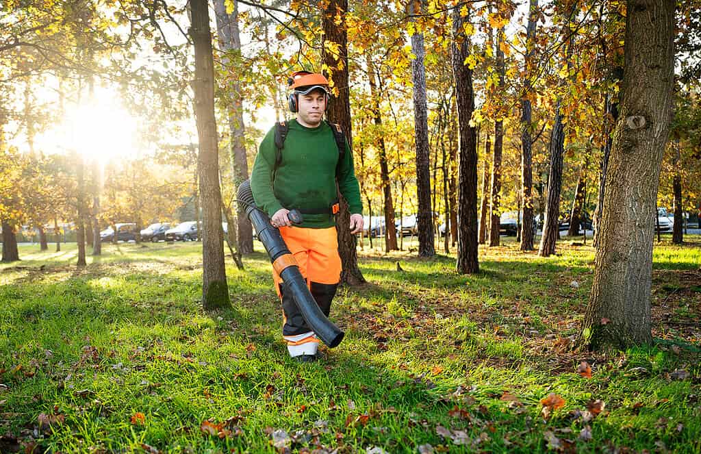 Medewerker afdeling groenonderhoud
