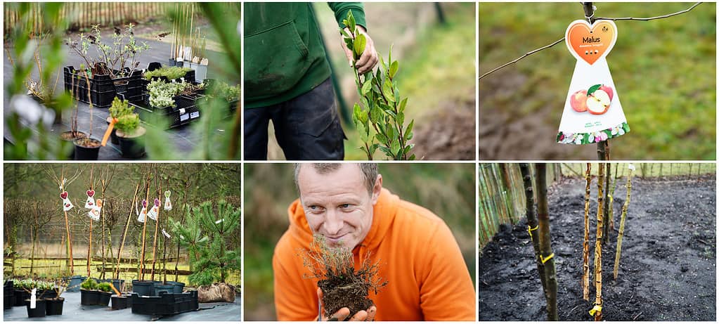 Klimaatbossen - Afdeling groenonderhoud Arbeidskansen